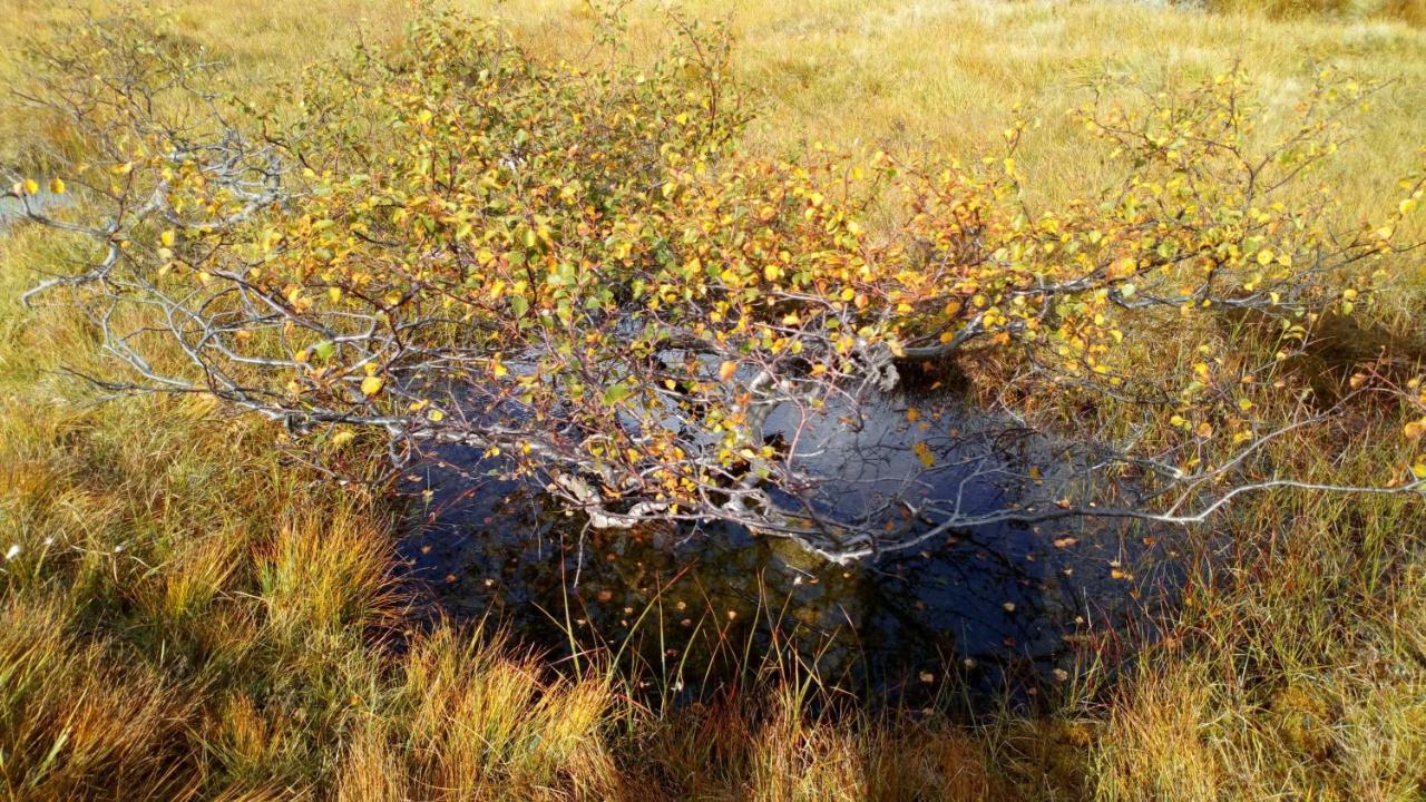 Sirdal Hoyfjellshotell Fidjeland ภายนอก รูปภาพ